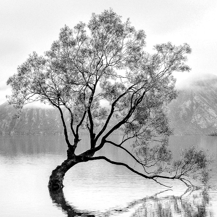 Novart Wandbilder Landschaft Sand Natur - KOMPLETT AUFHÄNGFERTIG - Schwarz Weiss Wohnzimmer Schlafzi