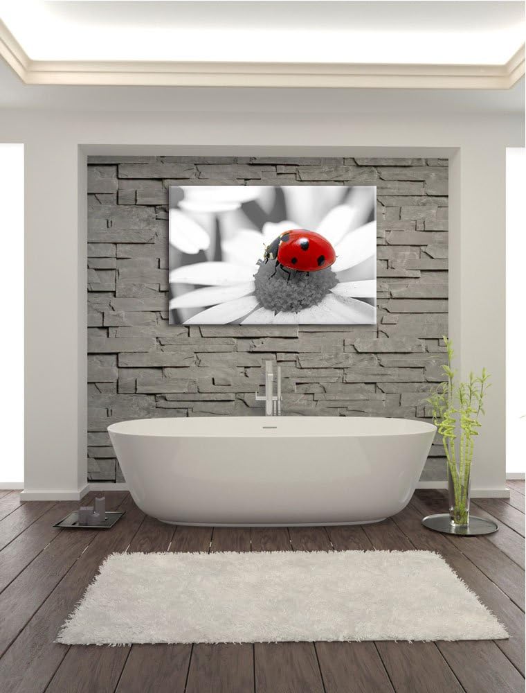 süsser Marienkäfer auf Gänseblume schwarz/weiss Format: 100x70 auf Leinwand, XXL riesige Bilder fert