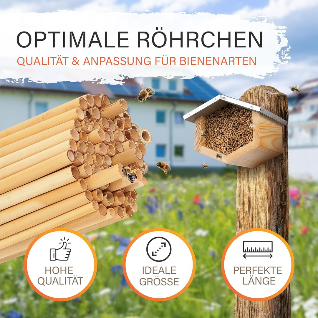 Beesi Wildbienenhotel mit Vogelschutz I Dach wetterfest I Nisthülsen aus Bambus I hochwertiges Insek