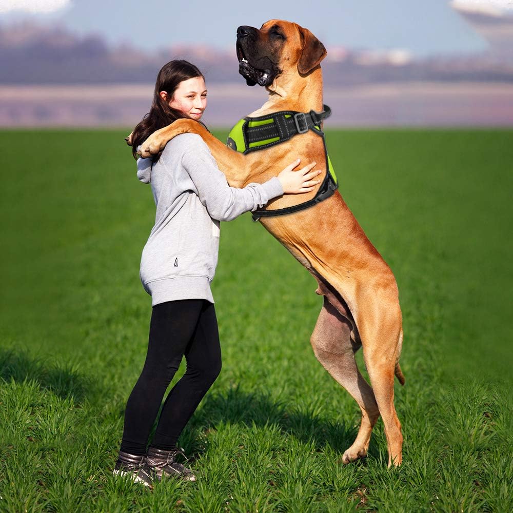 MASBRILL Hundegeschirr Grosse Hunde, Anti Zug Geschirr Hunde Brustgeschirre Einstellbar und Reflekti