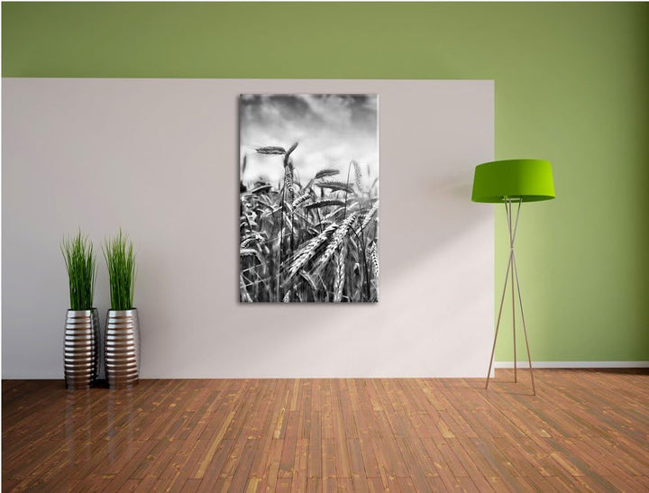 Pixxprint Monocrome, Getreide im Sonnenlicht als Leinwandbild | Grösse: 100x70 | Wandbild| Kunstdruc