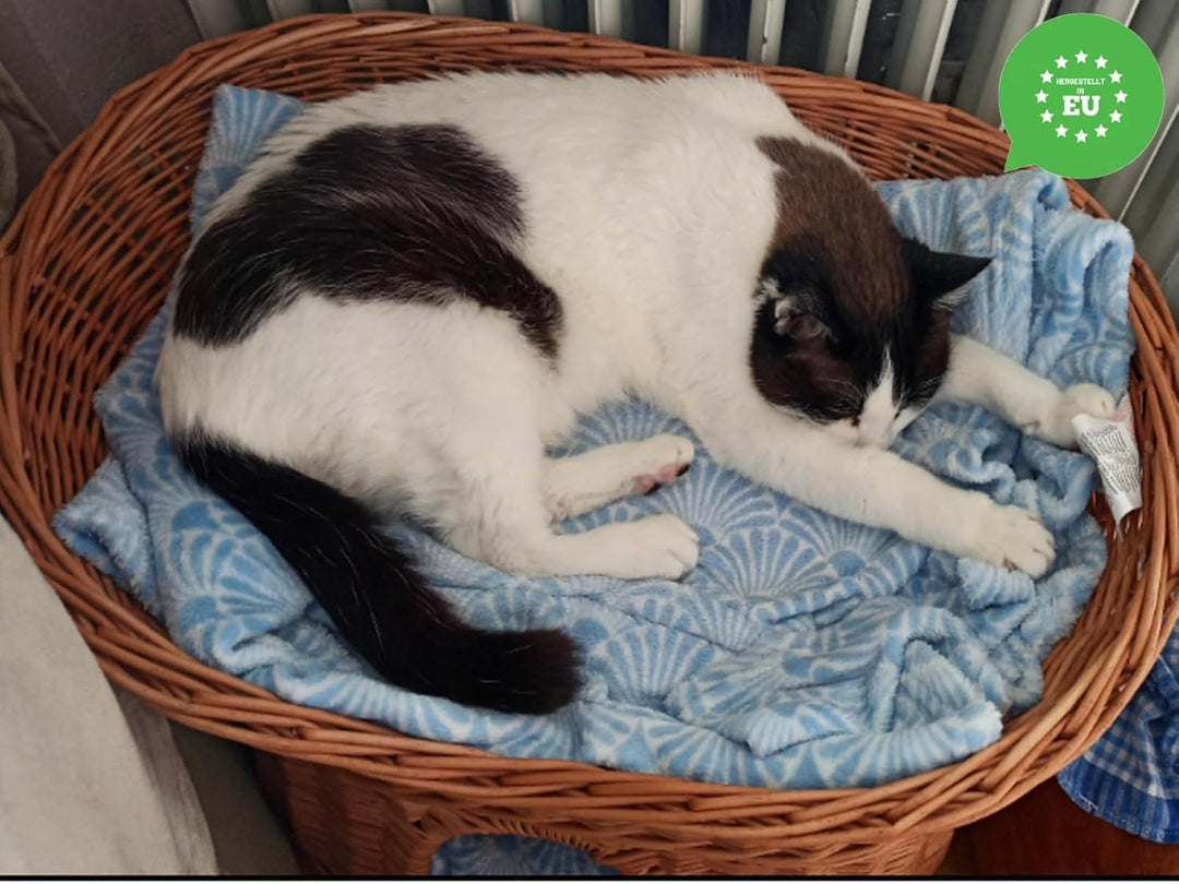 Katzenkorb zum Schlafen – Katzenhütte Indoor – Grösse XL: 70 cm oval – Katzenhöhle aus Weide – Zweis