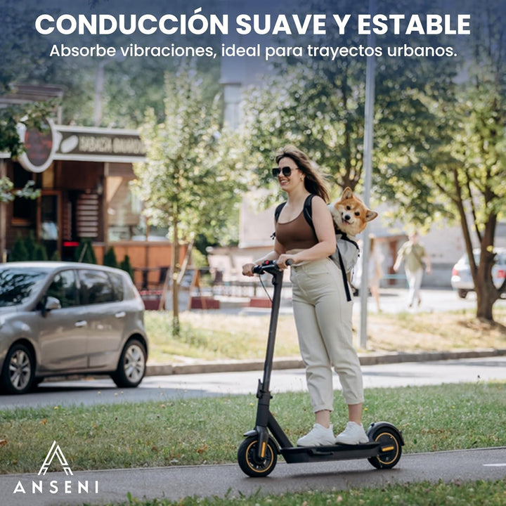 ANSENI Radabdeckung 250 x 54, kompatibel mit Xiaomi 4 Roller, Reifen Xiaomi 10 Zoll (250 x 54 cm), E
