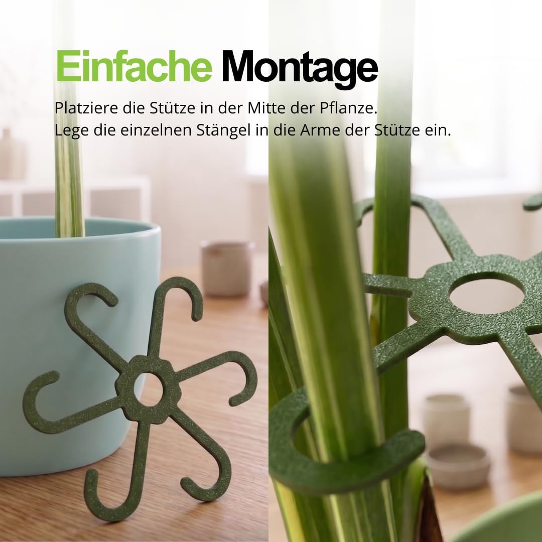 PLANTINITY - Pflanzenstütze Ring 15 cm Hero Light M - 5 Stück - Pflanzenhalter für Zimmerpflanzen -