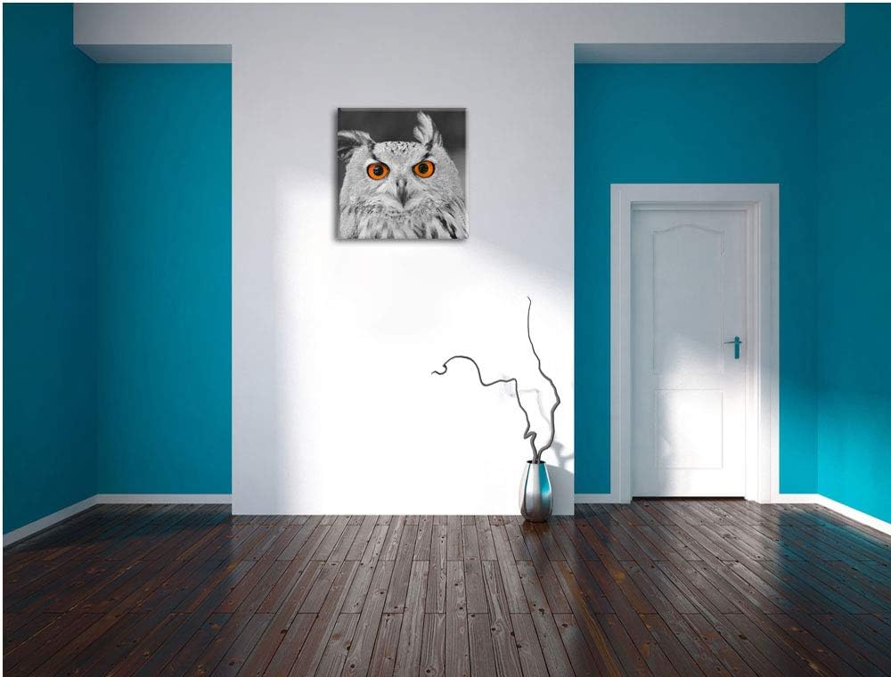 Pixxprint süsser Eulen Kauz schwarz/weiss, Format: 70x70 auf Leinwand, 70x70