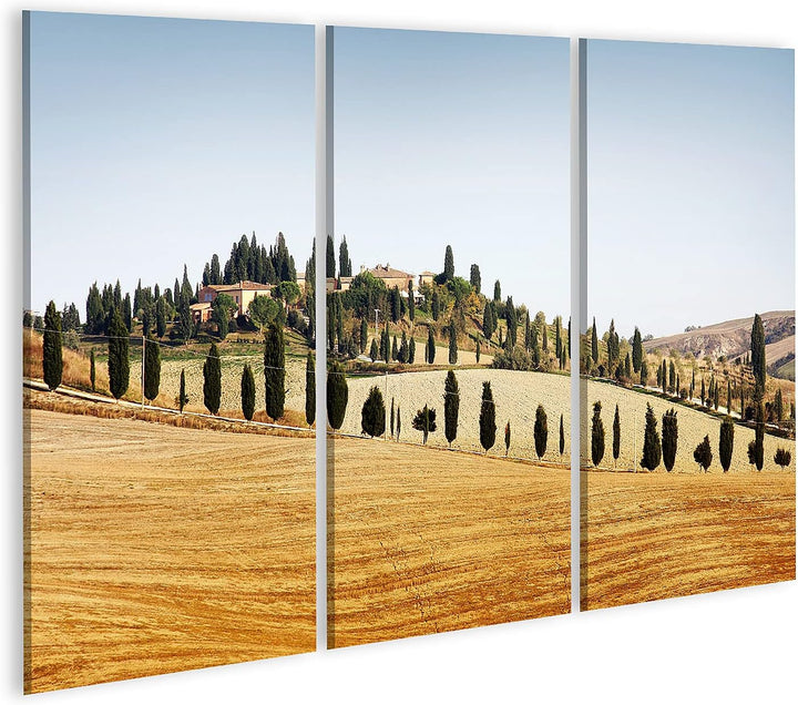 islandburner Bild auf Leinwand Typische Landschaft In Der Toskana Im Herbst Bilder Wandbilder Poster