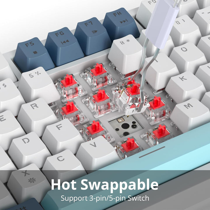 SOLIDEE Verkabelte Mechanische Gaming Tastatur 75 Prozent,hot-swap-fähige Mechanische Tastatur mit G