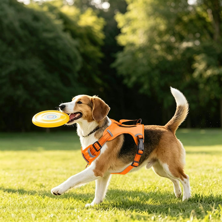 Leichtes verstellbares Hundegeschirr mit Reflektoren,4-Fach verstellbar | für aktive mittelgrosse Hu