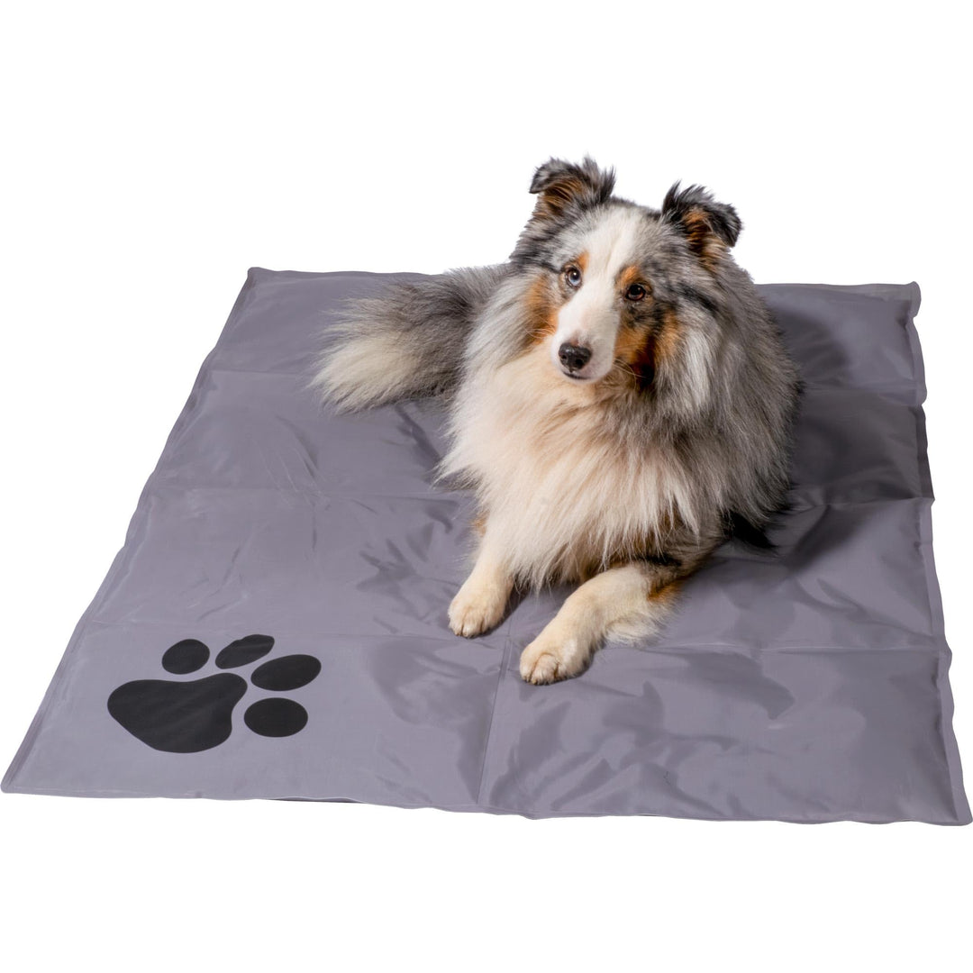 dobar® 60422 Kühlmatte für Hunde - Hundekühlmatte für Hund & Katze - selbstkühlende Matte für Hausti