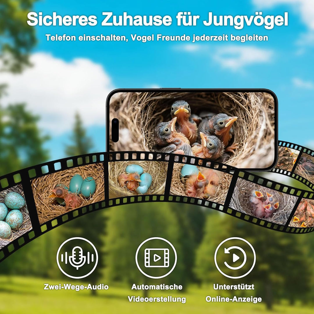 Vogelhaus mit Kamera und Solar Panel - 2K HD Solar Kamera WLAN Outdoor mit Massivholz Nistkasten, Br
