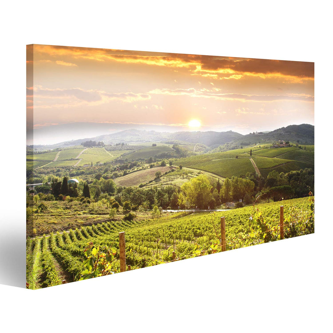 Bild Bilder auf Leinwand Chianti-Weinberglandschaft in Toskana Italien Wandbild, Poster, Leinwandbil