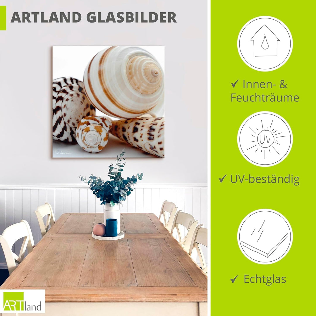ARTland Glasbilder Wandbild Glas Bild einteilig 40x40 cm Quadratisch Natur Tiere Muscheln Strand Mee