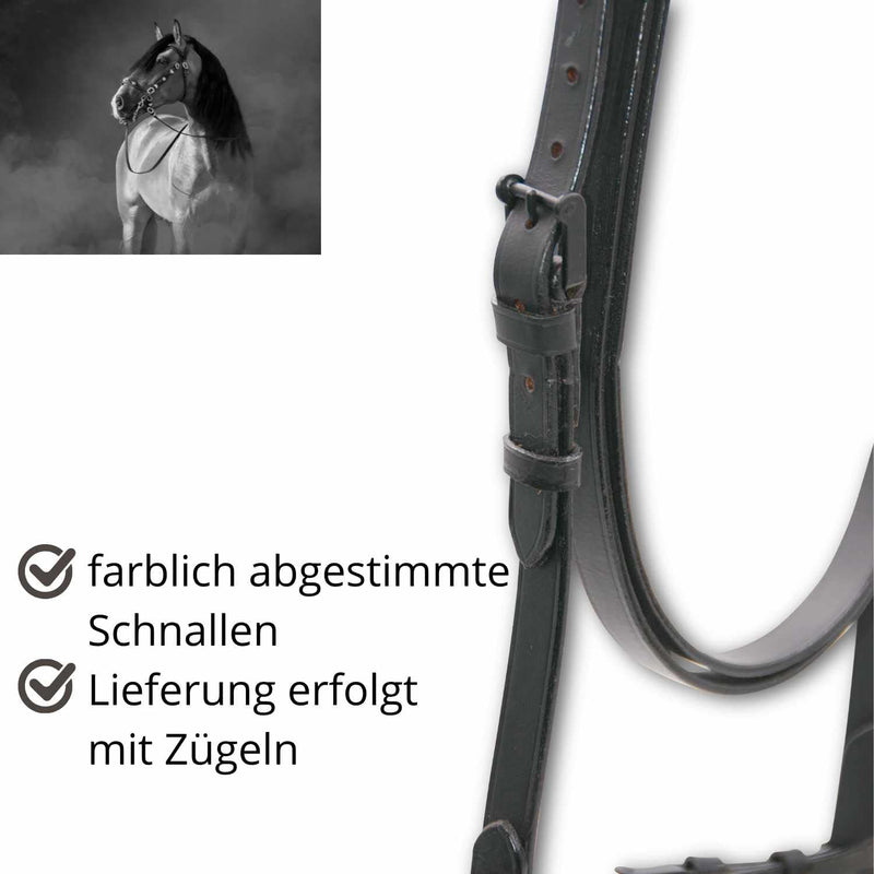 AMKA Spanische Trense mit Leder Fransenstirnband und Lederzügel Vaquero Zaum 005/105 schwarz, schwar