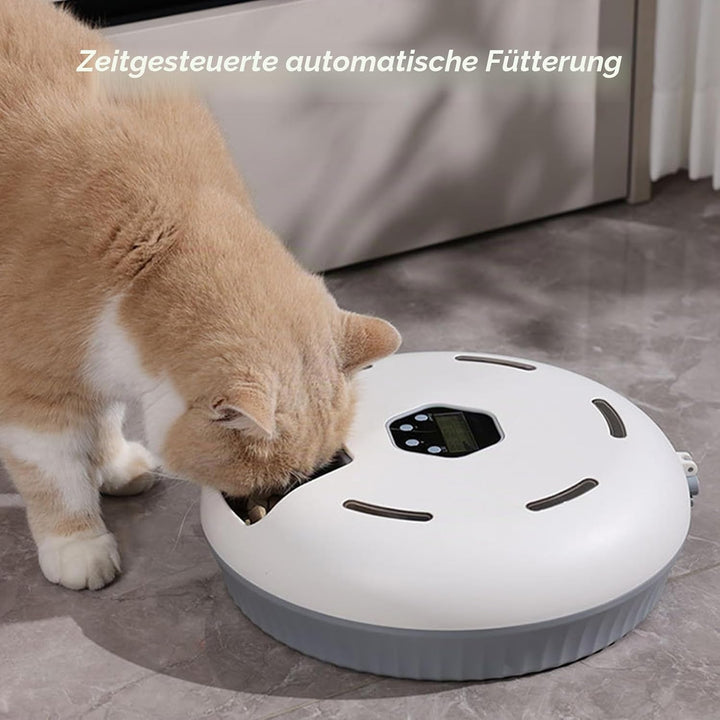 Automatischer Katzenfutterspender – 6 Mahlzeiten pro Tag, Frischehaltung mit EIS-Akkus, Einfache Rei