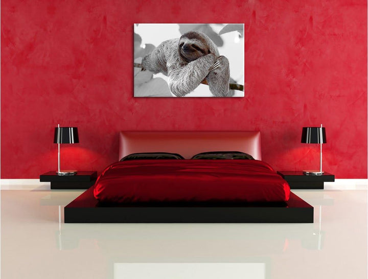 Pixxprint schönes Faultier hängt von AST als Leinwandbild/Grösse: 100x70 cm/Wandbild/Kunstdruck/fert