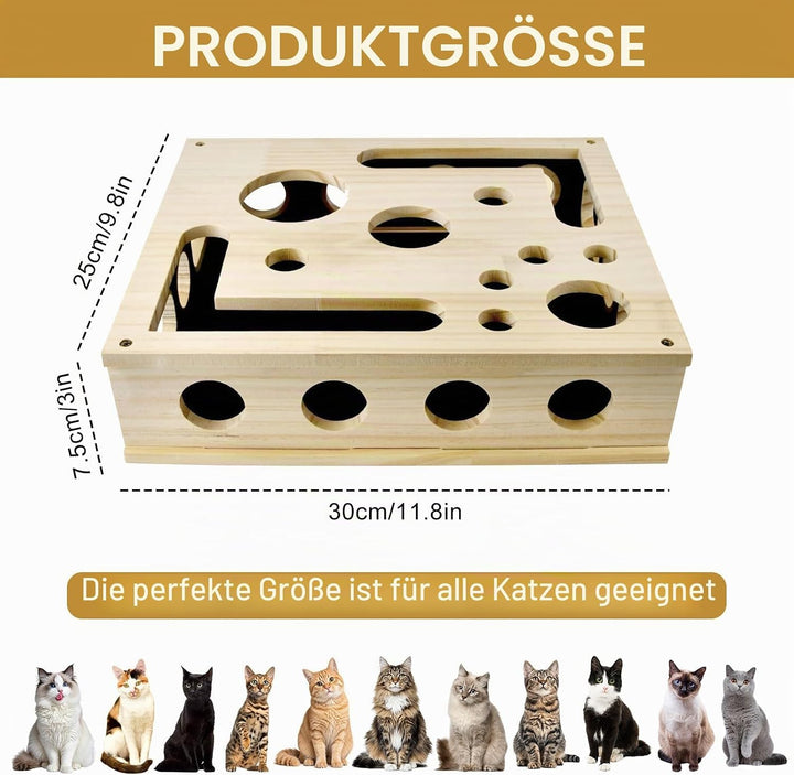Beschäftigungsbox Krallenfeile Katzen - 30X25X8CM Katzen Kratzbrett, Enrichment für Katzen, Kratzspi