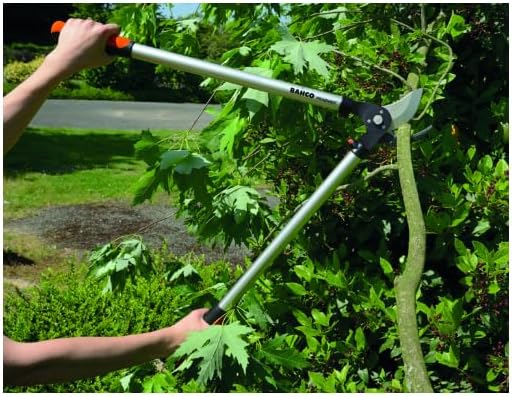 Podadera Expert 60 Cm Fr