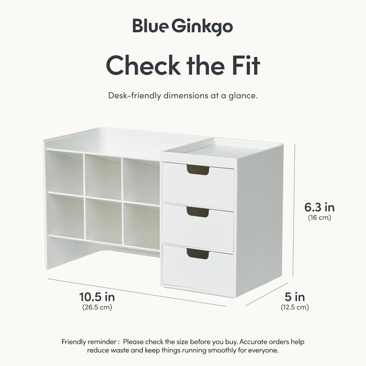 BLUE GINKGO Hive Stack Desk Organizer – Stapelbarer Stiftehalter, Schreibtischorganizer mit Schublad