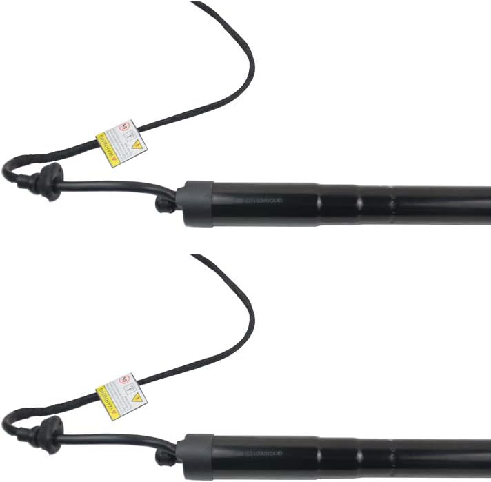 SCSN 2x Heckklappe Gasdruckfeder 7N0827851E 7N0 827 851 E 2010-2018