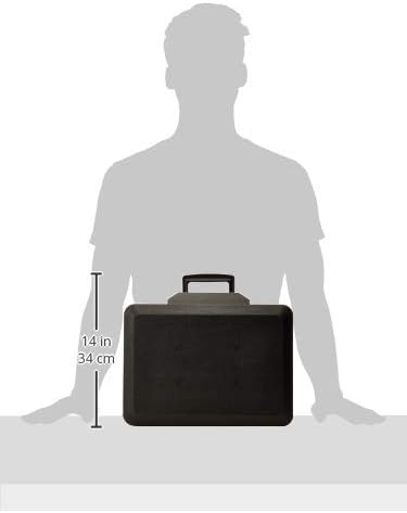 Sentry Safe 1160 1160 cm Feuerfester Schlosskasten, Schwarz, 0.25 cu. ft, Schwarz