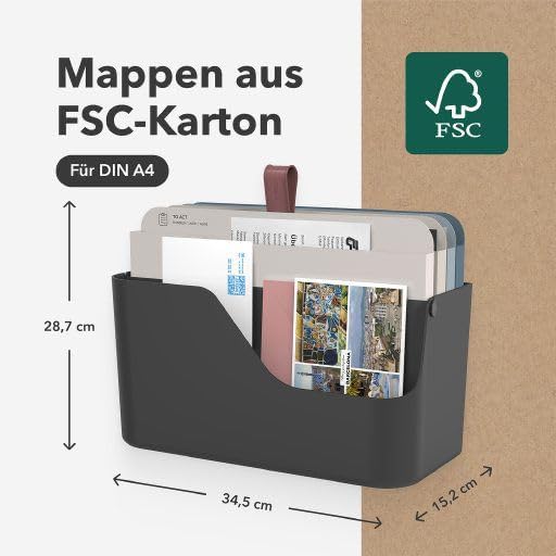 Rotho MyPaper Plus Dokumentenorganizer A4 | Schreibtisch Organizer für Büro und Homeoffice | Briefab