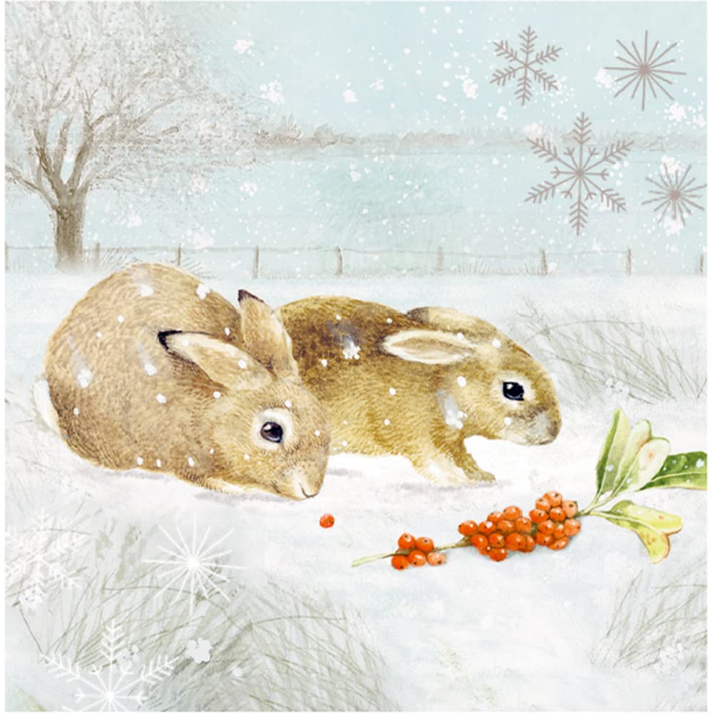 Wandkalender: Wintermorgen mit Rotkehlchen