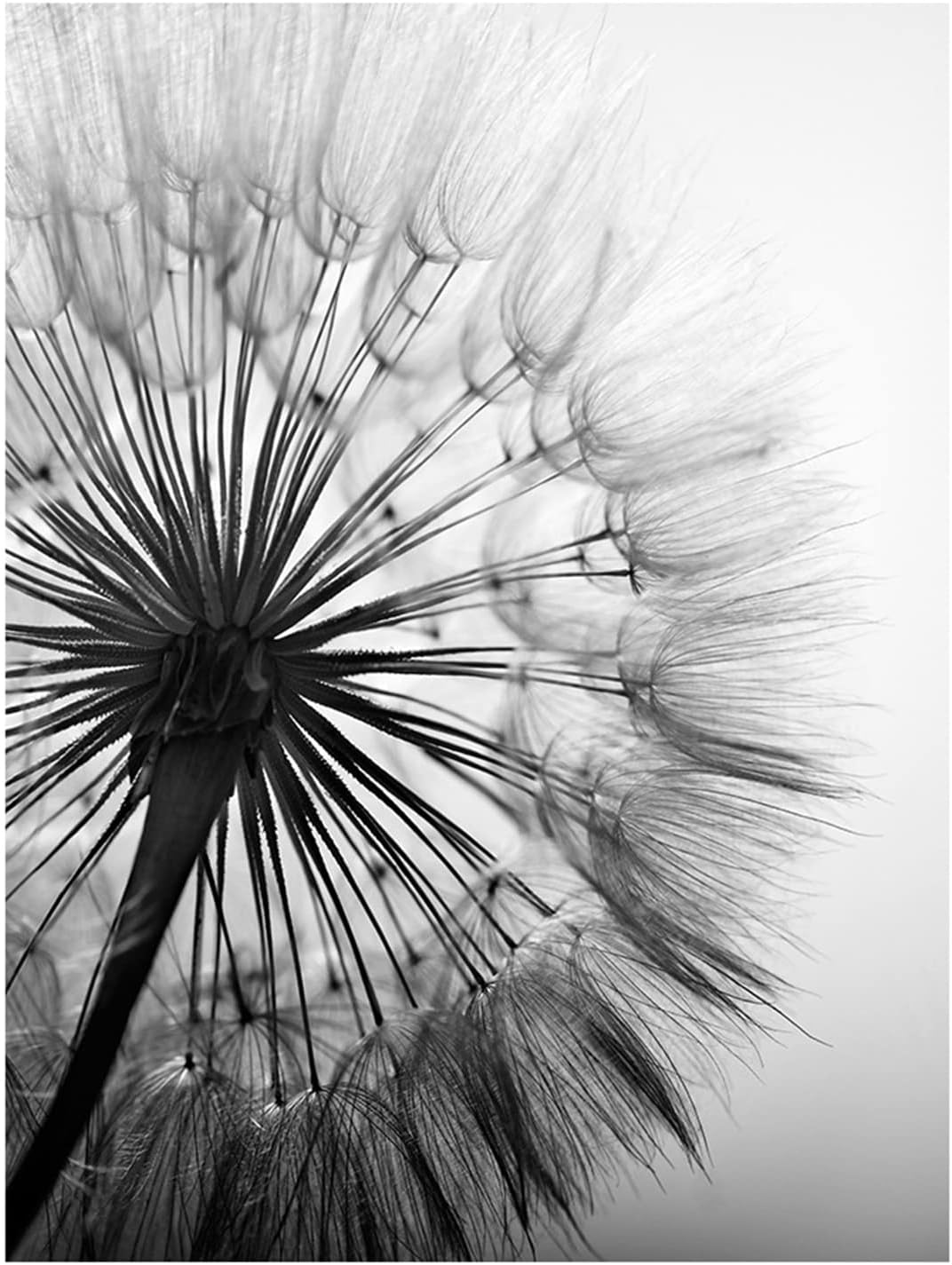 TROYSINC 3er Set Design-Poster Wandbilder, Pusteblume Ohne Rahmen Wandbild Print Bilder, Leinwand Ku