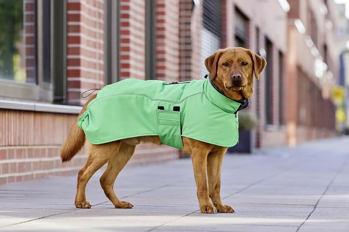 Wolters Hundejacke Cape Adventure | Gefütterte Winterjacke für Hunde | Farbe Grün | Grösse 44 (Rücke