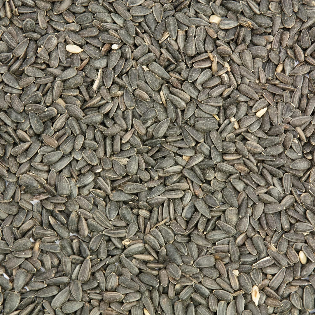 Sonnenblumenkerne schwarz, Vogelfutter 25 kg 25.00 kg (1er Pack), 25.00 kg (1er Pack)