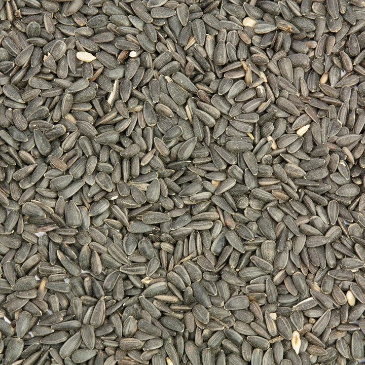 Sonnenblumenkerne schwarz, Vogelfutter 25 kg 25.00 kg (1er Pack), 25.00 kg (1er Pack)