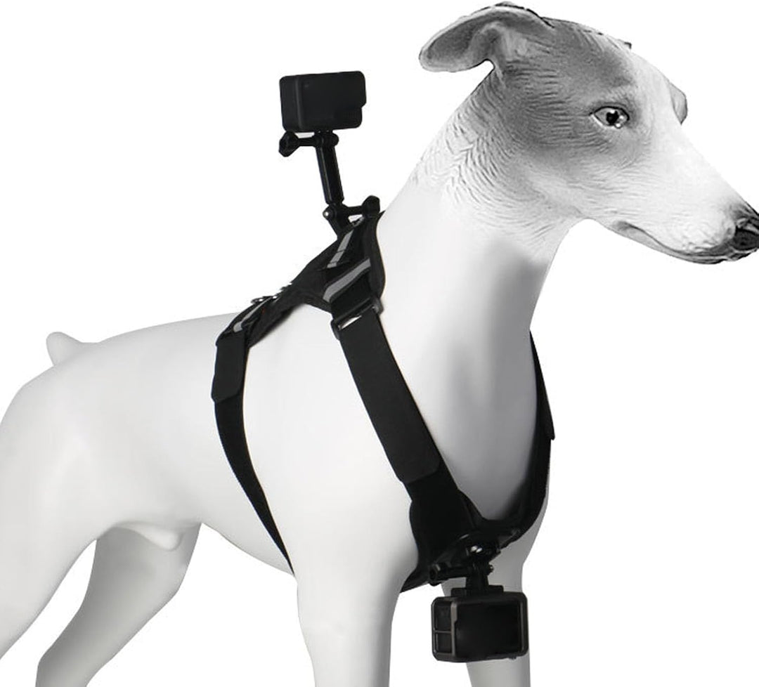 ASHATA Hundekabelbaumhalterung für Kamera, Doppelte Montageoptionen Go Pro -Kabelbaumhalterung aus N