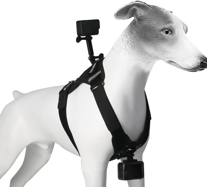 ASHATA Hundekabelbaumhalterung für Kamera, Doppelte Montageoptionen Go Pro -Kabelbaumhalterung aus N
