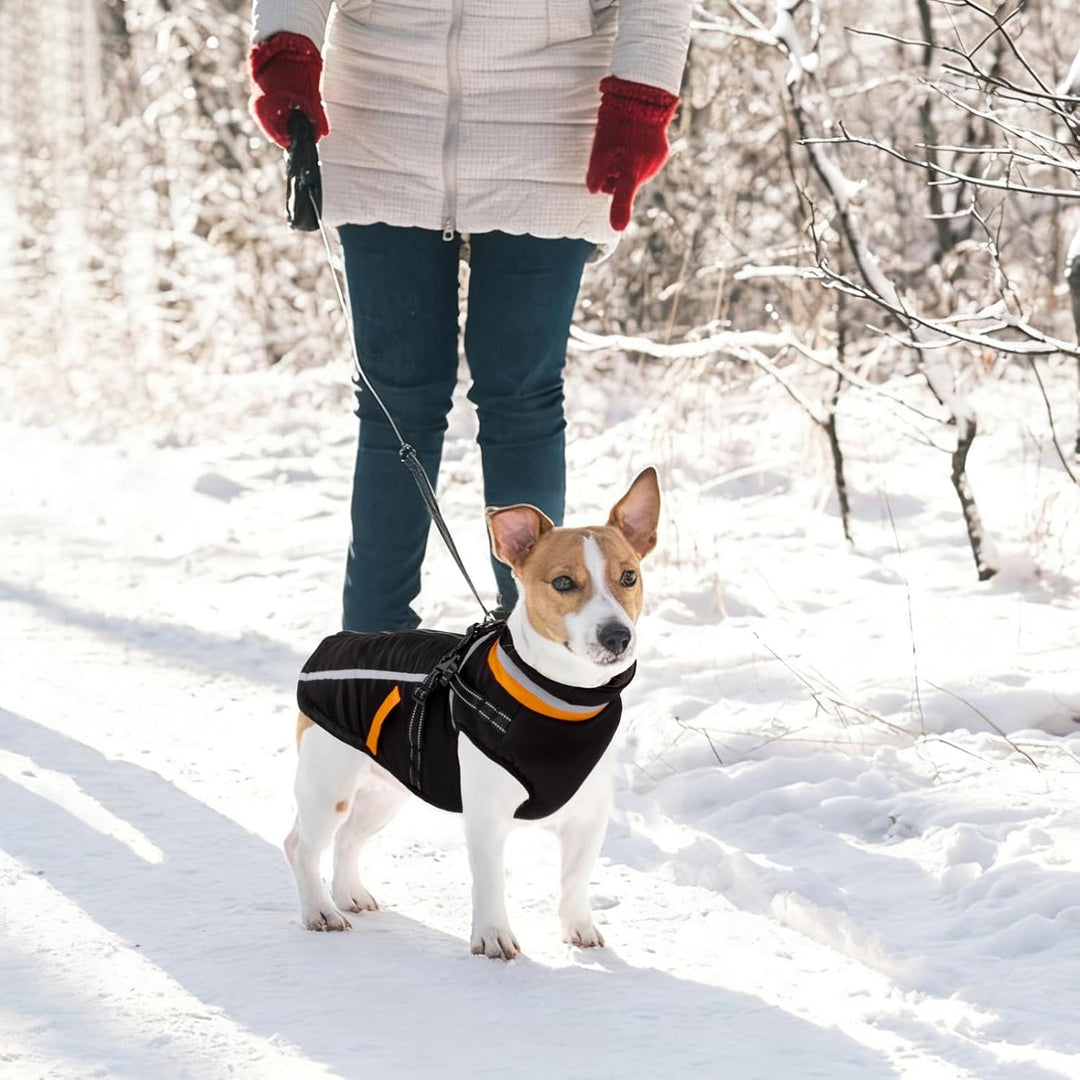 FEimaX Hundemantel Wasserdicht Winddichte Winter Fleece Hundejacke mit Geschirr Hund Wintermantel Wa