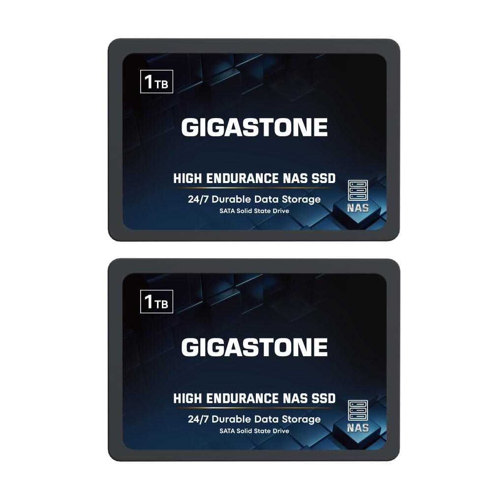 Gigastone NAS SSD 1TB Enterprise SSD Festplatte (2er-Pack) TLC Hohe Dauerhaltbarkeit Server SSD für