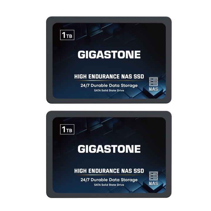 Gigastone NAS SSD 1TB Enterprise SSD Festplatte (2er-Pack) TLC Hohe Dauerhaltbarkeit Server SSD für