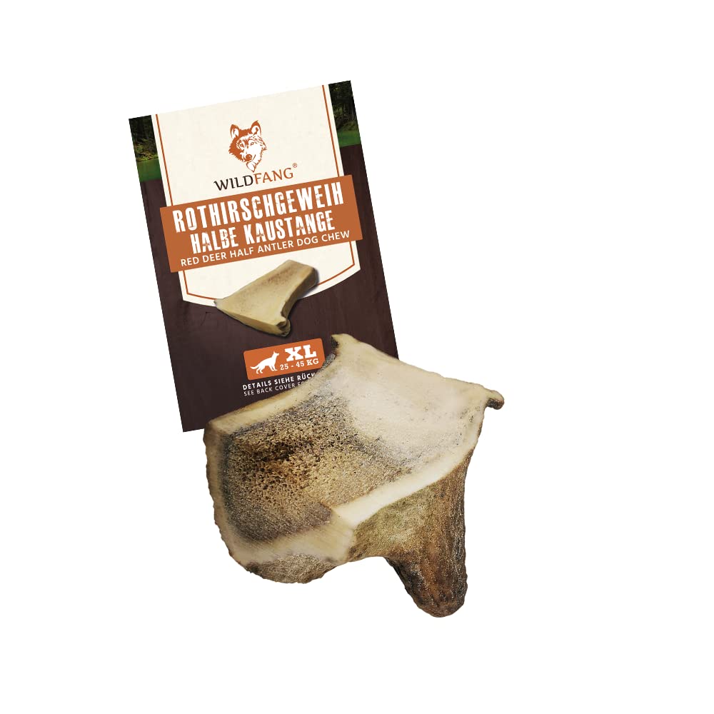 Wildfang® halbe Kaustange vom Rothirsch Geweih Hunde Kausnack | Abwurfstange aus EU | Zahnpflege | H