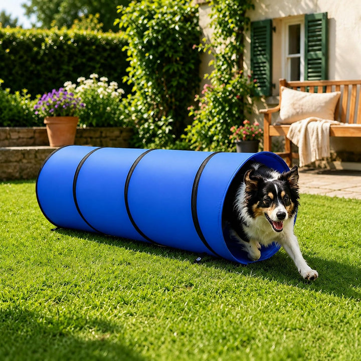 Hunde Agility Tunnel Set, Faltbarer Trainingstunnel mit Sprungring
