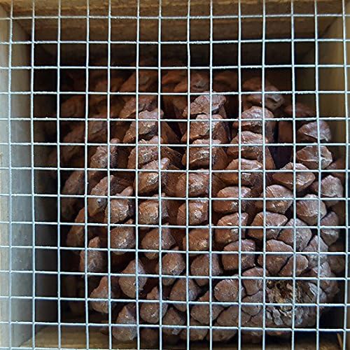 Insektenhotel Cabana - siebenstöckiges Luxushotel für Insekten