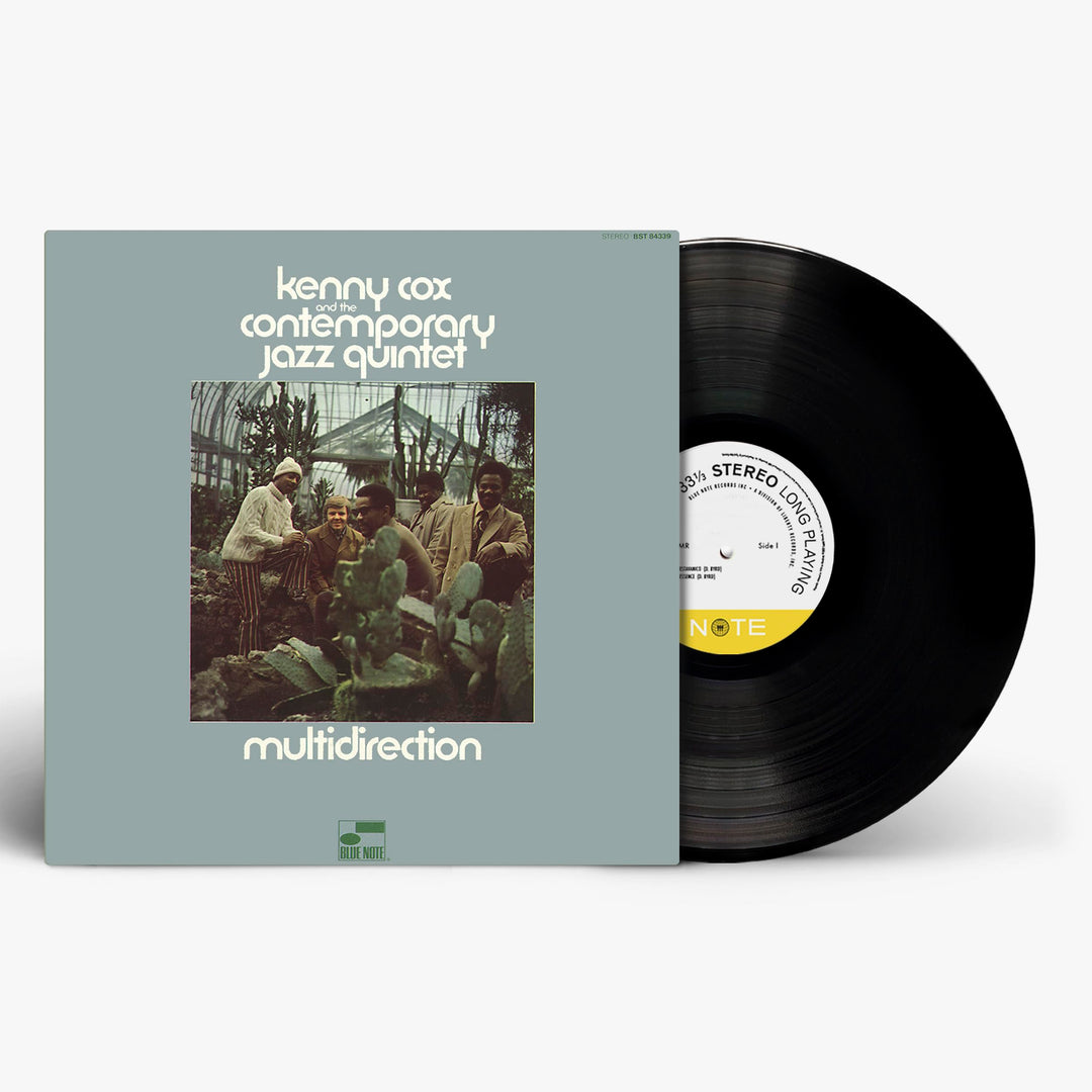 Multidirection, Vinyl