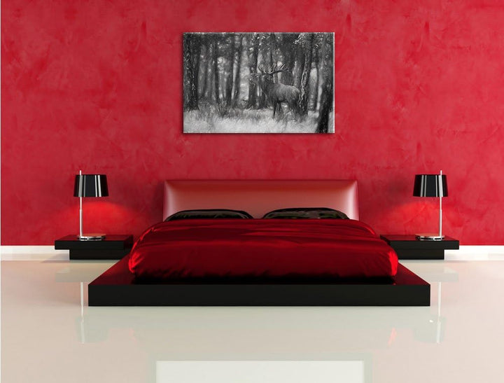 Pixxprint röhrender Hirsch als Leinwandbild/Grösse: 100x70 cm/Wandbild/Kunstdruck/fertig bespannt, 1