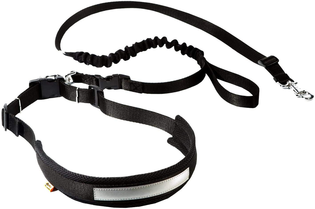 Dingo Jogginggurt 4 in 1 +Hundeleine mit einem Stossdämpfer Set L/XL Gürtel : 3,0 x 70-130 cm Hundel