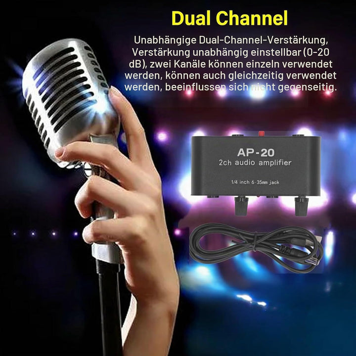 Professional Doppelk-Soundverstärker, Eingang von 20 dB Eingang von 20 dB mit variabler Leistung DC