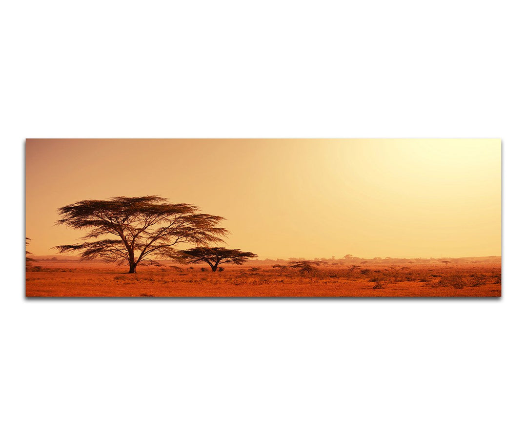 Paul Sinus Art Panoramabild auf Leinwand und Keilrahmen 150x50cm Afrika Namibia Baum Abendstimmung