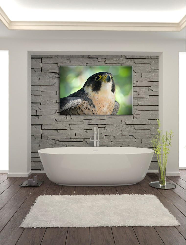 Pixxprint schöner Grauer Adler auf Leinwand, XXL riesige Bilder fertig gerahmt mit Keilrahmen, Kunst