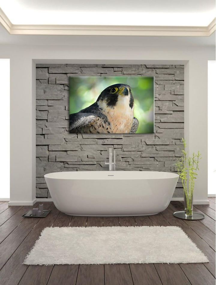 Pixxprint schöner Grauer Adler auf Leinwand, XXL riesige Bilder fertig gerahmt mit Keilrahmen, Kunst