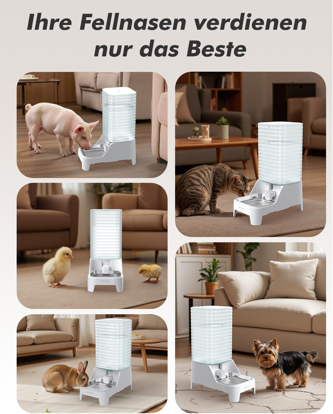 8L Wasserspender für Hunde und Katzen mit patentiertem Wasserhahn, futterautomat Katze mit Filter,ve