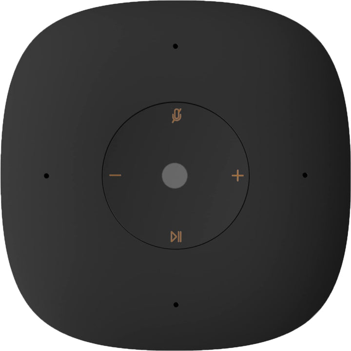 Xiaomi Smart Speaker IR Control QBH4218GL Bluetooth Portable Speaker Black