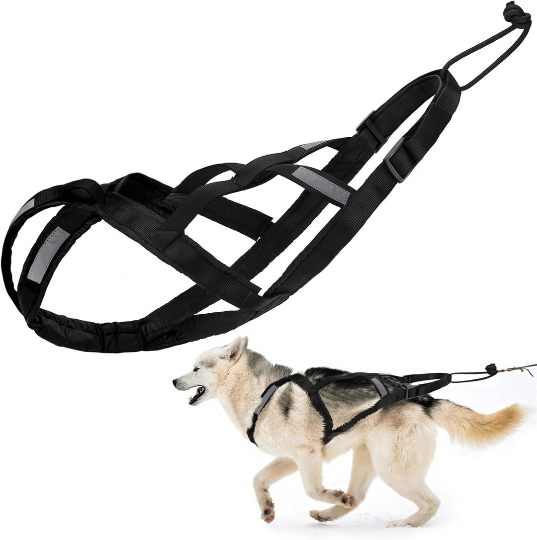 Zuggeschirr für Hunde, Ultra-Robust & Reflektierend, Aktivgurt für Schlittenhunde Sport Training, Ko