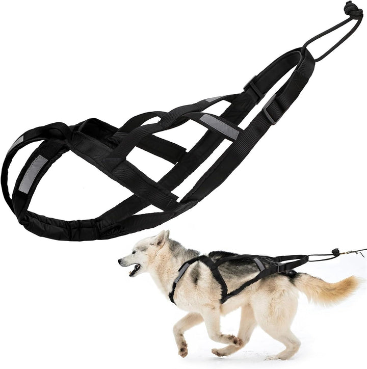 Zuggeschirr für Hunde, Ultra-Robust & Reflektierend, Aktivgurt für Schlittenhunde Sport Training, Ko