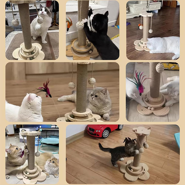 Kongming 4 in 1 Katzenspielzeug hölzernes, Katze Sisal Seil Kratzbaum mit hängenden Ball, Interaktiv